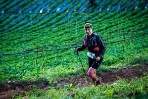 BIB: 
                            <button type="button" onclick="openModal(19160029)" class="btn btn-primary btn-sm float-right btn-popup" data-toggle="modal" data-target=".modal-high-quality">
                        <i class="fas fa-shopping-cart"></i> Add to Cart
                    </button>
                                            <button type="button" onclick="isThisMe(19160029, true)" class="btn btn-success btn-sm float-right btn-popup btn-isme hidden" data-toggle="tooltip" data-placement="bottom" title="นี่คือรูปของคุณใช่ไหม คลิกที่นี่เพื่อเอาเข้าอัลบั้ม">
                        <i class="fas fa-plus"></i> Add to album
                    </button>
                    <button type="button" onclick="isThisMe(19160029, false)" class="btn btn-warning btn-sm float-right btn-popup btn-isnotme hidden">
                        <i class="fas fa-ban"></i> Remove from album
                    </button>